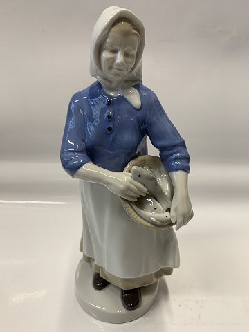 Bestellnummer: 621646