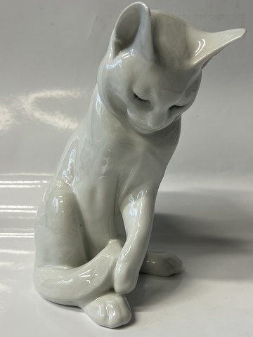 item no: 649004