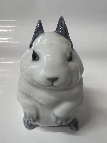 item no: 649007