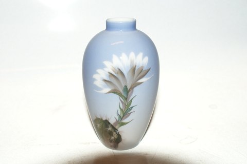 Bestellnummer: 77355