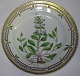 Kgl. Porcelæn Flora Danica Frokosttallerken No 3550