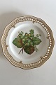 Royal Copenhagen Flora Danica Fruit Plate No 429/3584. Measures 22cm and is in 
perfect condition. Pre 1900   No 110