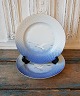 B&G Seagull with gold, dinner plate no. 25