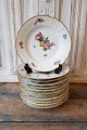 Royal Copenhagen Full Saxon Flower Plate no. 1622 - 23 cm.