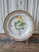 Royal Copenhagen Flora Danica dinner plate no. 3549