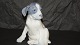 Stor Kongelig Hunde Figur, Pointer Hvalp
Dek. nr. #051 eller #259