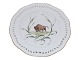 White Flora Danica
Luncheon plate decorated with musk ox from 1840-1893