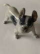 Royal Copenhagen figure of Boston terrier No 1457, 2. Sorting.
SOLD