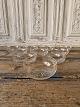 Set of 10 rinse bowls in clear crystal glass with a ground star at the bottom