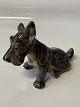 Dahl Jensen Figure of Scottish Terrier Dog
No: 1094