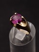 14 karat guld ring med ametyst