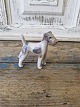 Royal Copenhagen Figur - Ruhåret Terrier no. 3170