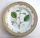 Royal Copenhagen, Flora Danica. Middags tallerken. Design #3549. Diameter 25 cm. 
(1 sortering). Alnus incana Dc
