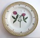 Royal Copenhagen, Flora Danica. Middags tallerken. Design #3549. Diameter 25 cm. 
(1 sortering). Trifolium alpestre Mill