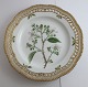 Royal Copenhagen. Flora Danica tallerken med gennemskåret bort. Diameter 25 cm. Model 3553. ( 1 sortering ). Rubus villicanlis Köhl