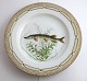 Royal Copenhagen. Fauna Danica. Fisketallerken. Middags tallerken. Model # 19 - 3549. Diameter 25 cm. (1 sortering). Esox lucius