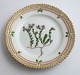 Royal Copenhagen, Flora Danica. Kage tallerken. Design #3552. Diameter 14,5 cm. (1 sortering). Sedum anglicum Huds