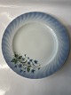 Middagstallerken Christineholm Porcelæn Nummer 3Diameter 25 cm