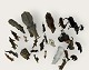 LineolGermanyZoologisk have dyr*2100kr samlet
